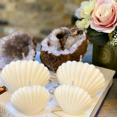 The Seashells Box