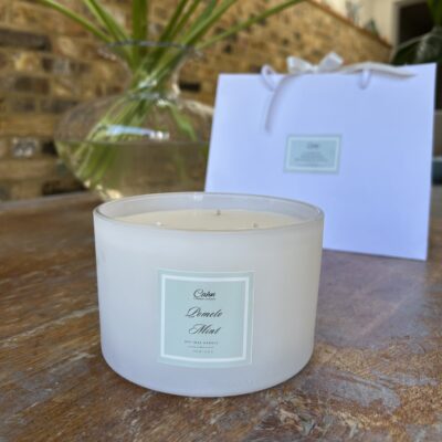 Pomelo & Mint 3 wick Candle