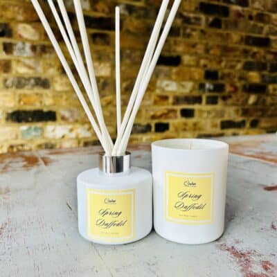 Spring Daffodil Diffuser