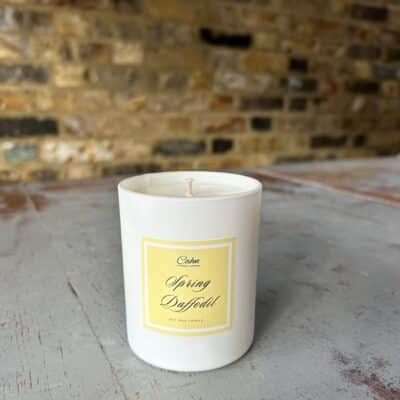 Spring Daffodil 20cl candle